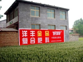  南靖县如何让墙体广告展现最大化效果
