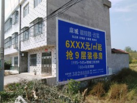  南靖县墙体广告质量分析