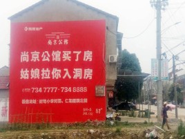  南靖县墙体广告在乡镇、农村市场的媒体优势
