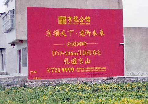  南靖县墙体广告发布的关键问题
