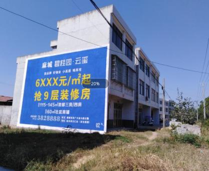 如何策划 南靖县墙体广告的投放？